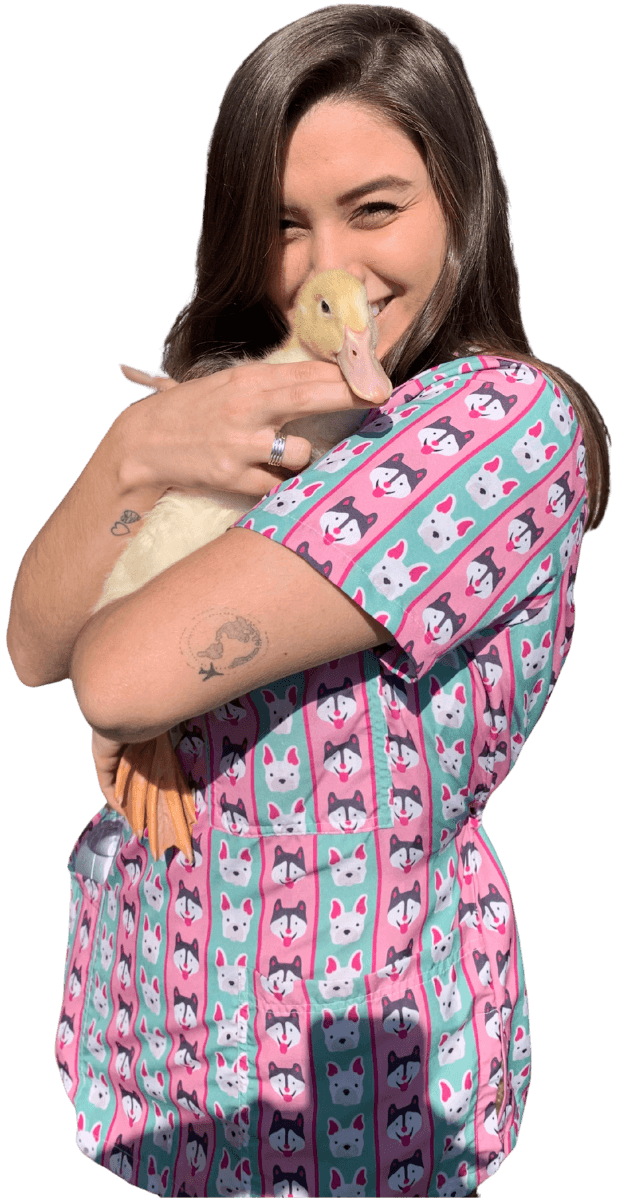 Veterinarian, Pet Sitter & Dog Walker