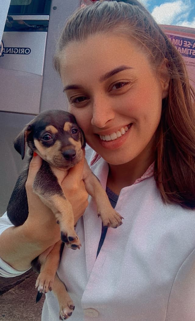 Veterinarian, Pet Sitter & Dog Walker