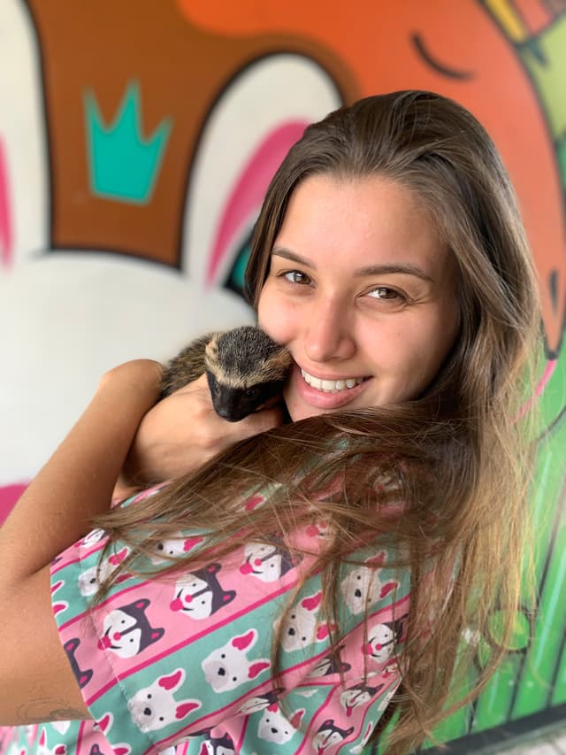 Veterinarian, Pet Sitter & Dog Walker