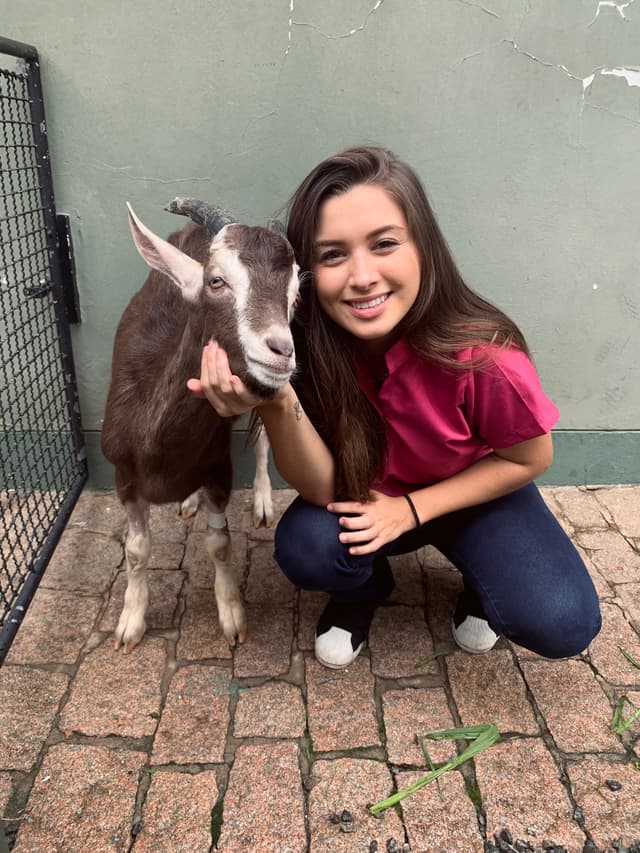 Veterinarian, Pet Sitter & Dog Walker