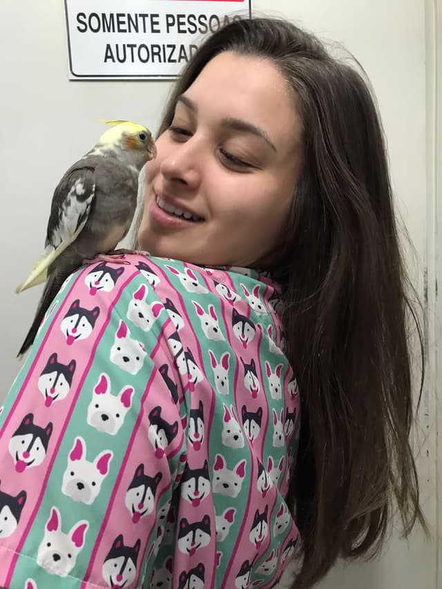 Veterinarian, Pet Sitter & Dog Walker