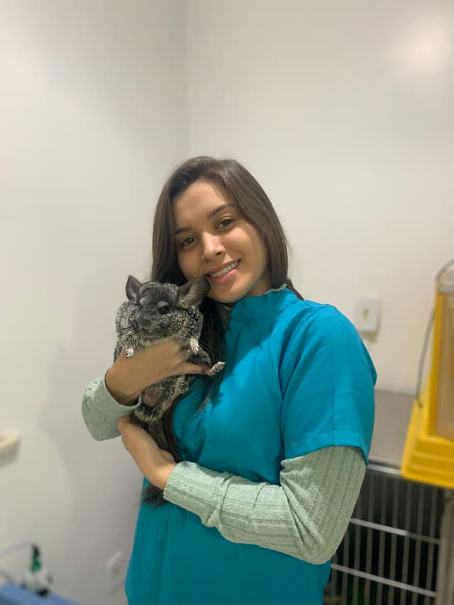 Veterinarian, Pet Sitter & Dog Walker