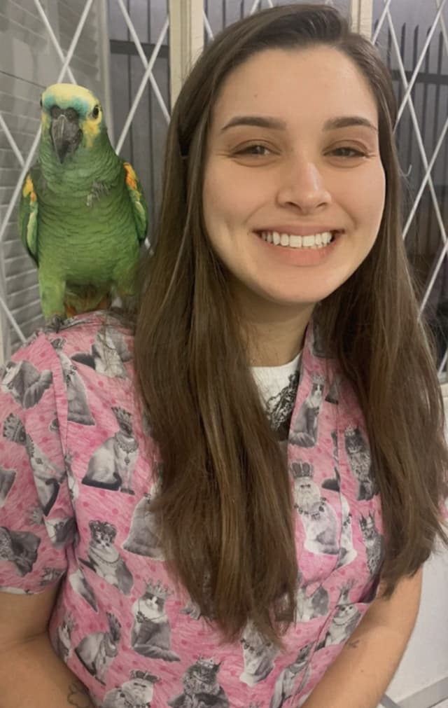 Veterinarian, Pet Sitter & Dog Walker